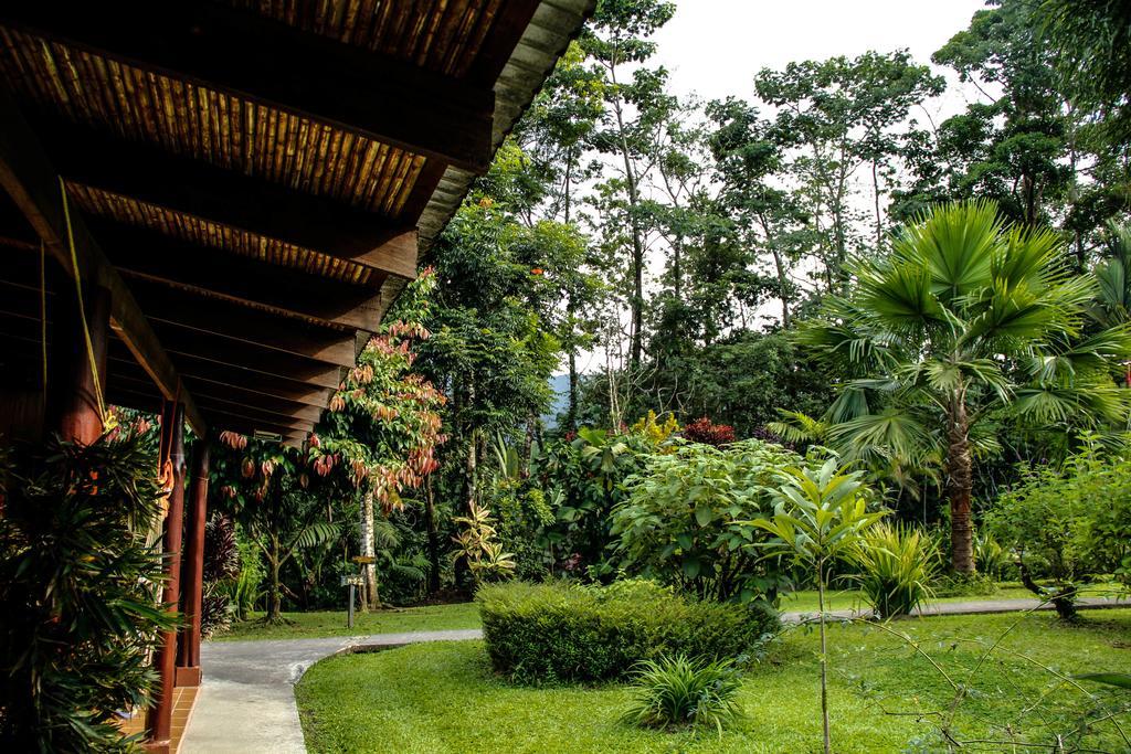 Catarata Eco Lodge La Fortuna Extérieur photo