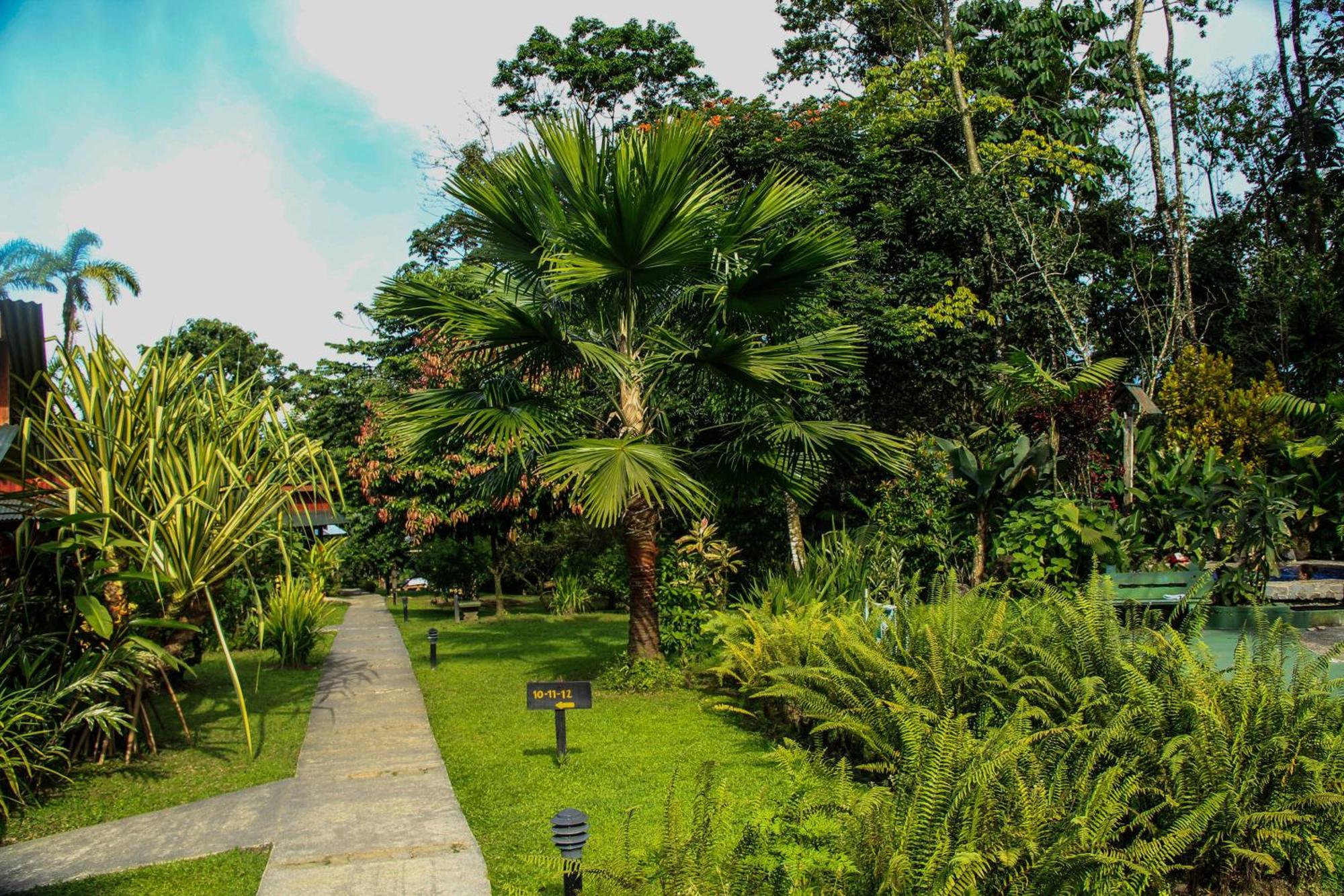 Catarata Eco Lodge La Fortuna Chambre photo