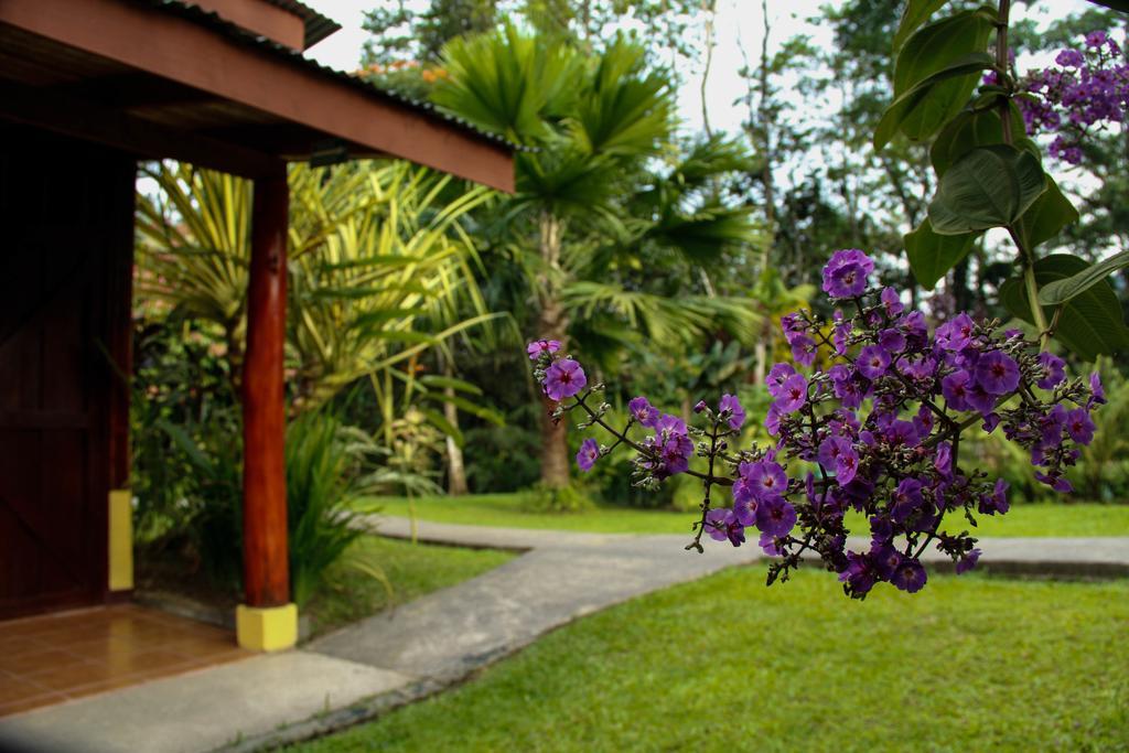Catarata Eco Lodge La Fortuna Extérieur photo