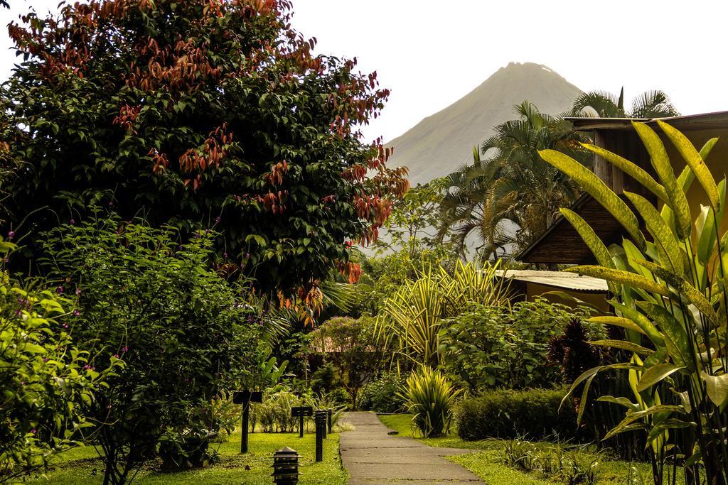 Catarata Eco Lodge La Fortuna Extérieur photo