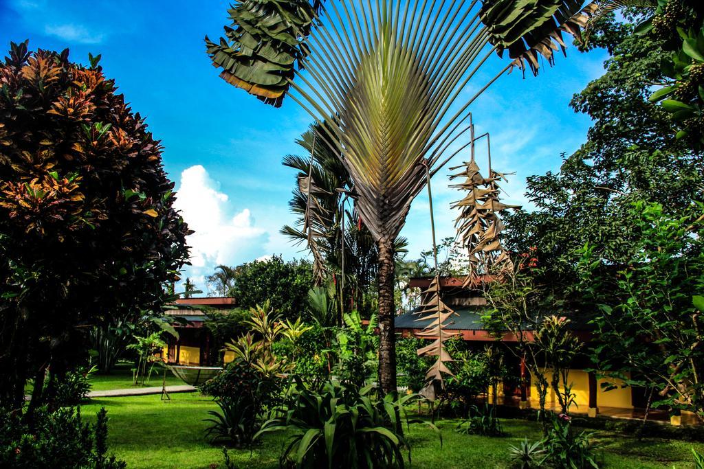 Catarata Eco Lodge La Fortuna Extérieur photo